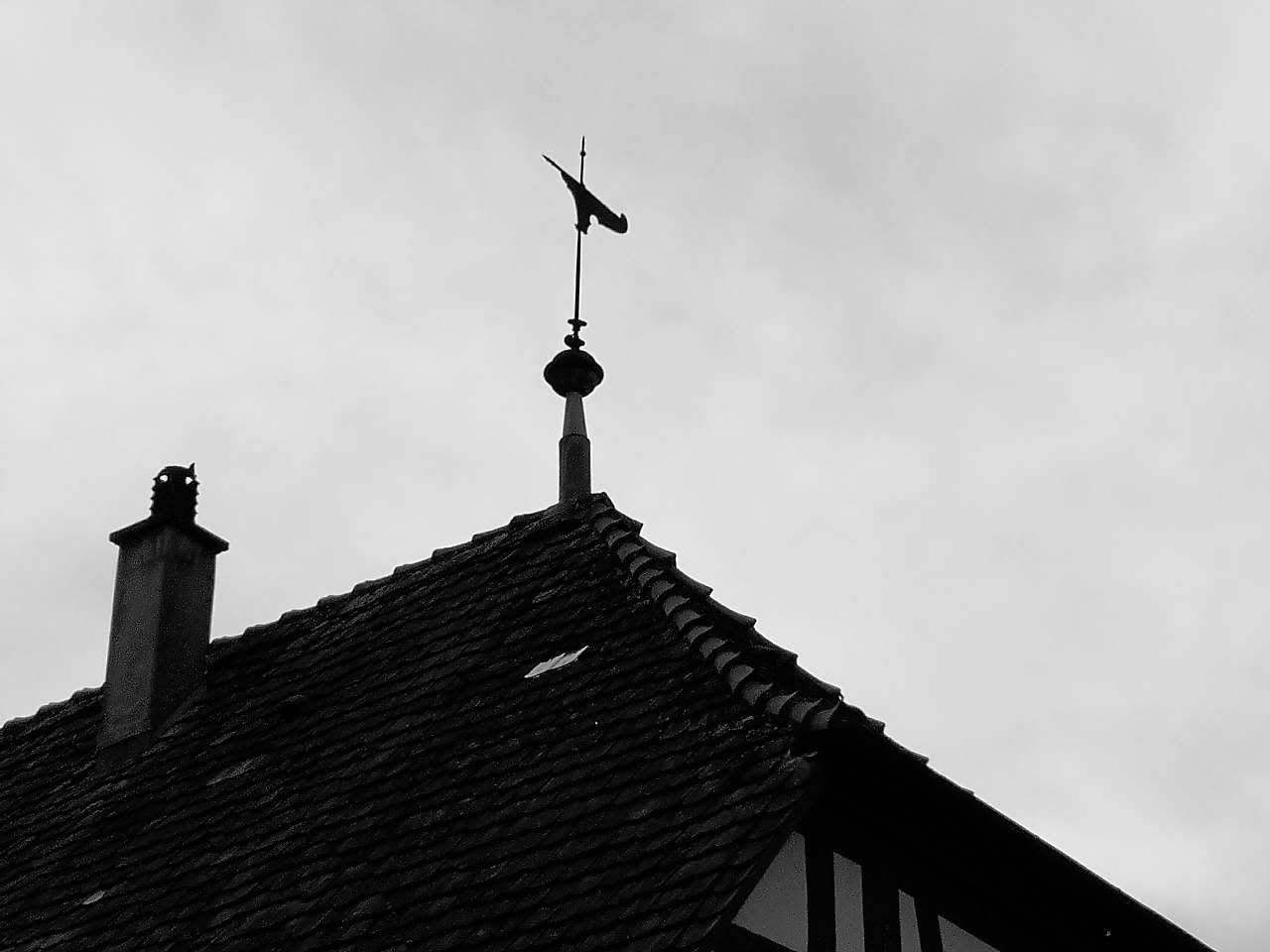 Haus der Bauern, Schwäbisch Hall