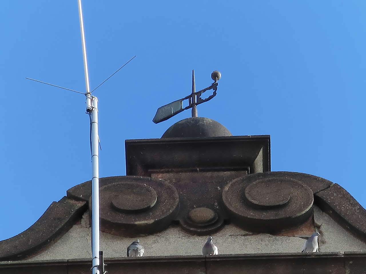 Bezirksverwaltung, Gubin