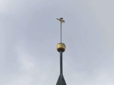 St.-Marien-Kirche, Frankfurt (Oder)