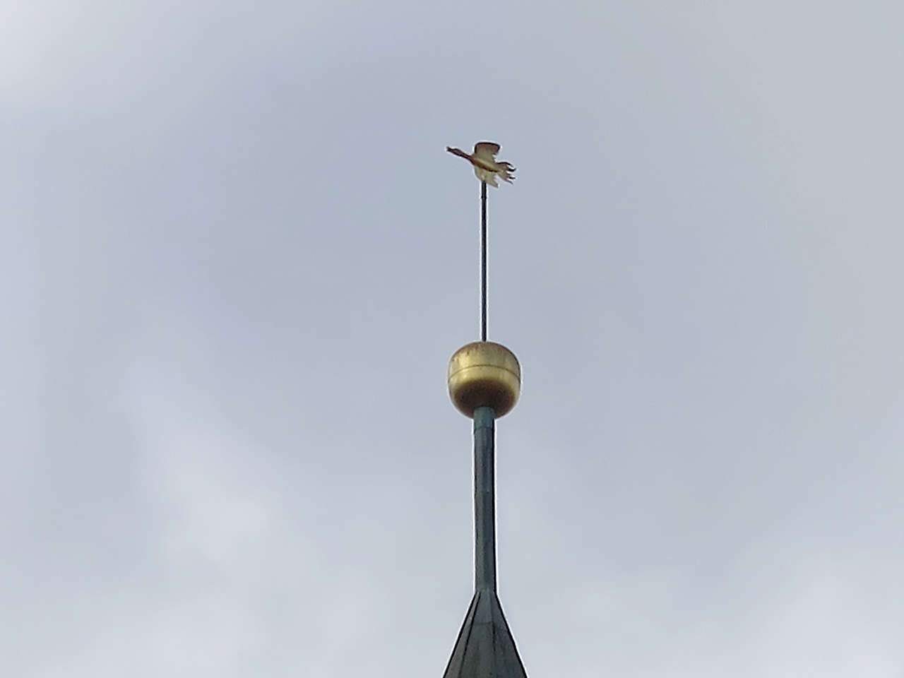 St.-Marien-Kirche, Frankfurt (Oder)